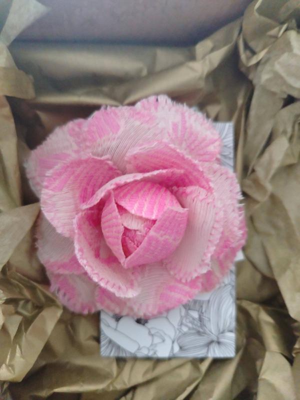 Flor magnolia petit